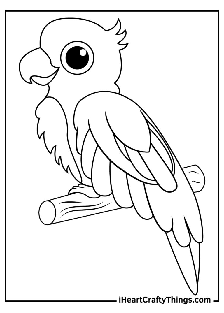 15 Parrot Coloring Pages 100 Free Printables