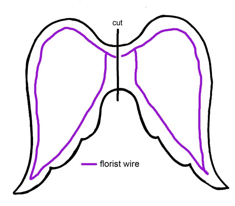 9 Angel Wings Templates Ideas Wings Angel Wings Angel