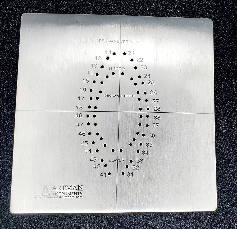 Amazon ARTMAN INSTRUMENTS Rubber Dam Template For Hole Punching Dental Dam Punch Tool For Endodontic Restorative Dentistry And Oral Isolation Health U0026 Household