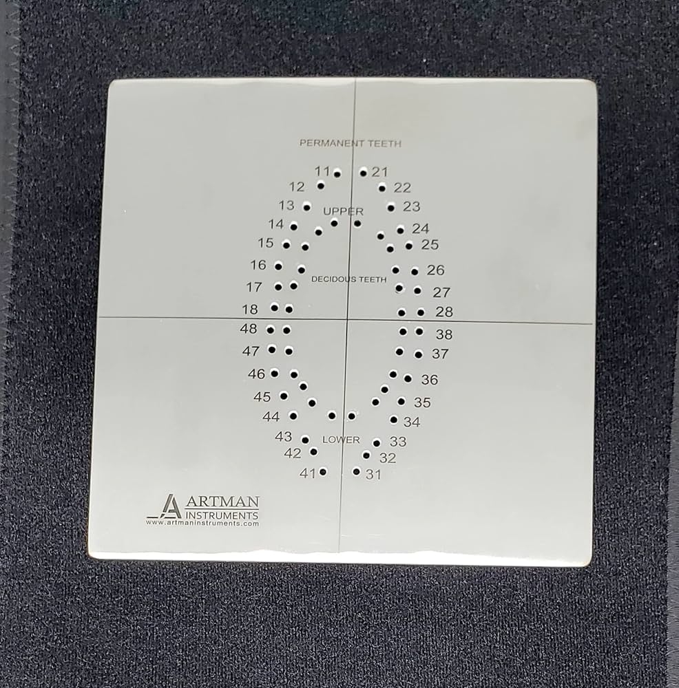 Amazon ARTMAN INSTRUMENTS Rubber Dam Template For Hole Punching Dental Dam Punch Tool For Endodontic Restorative Dentistry And Oral Isolation Health U0026 Household