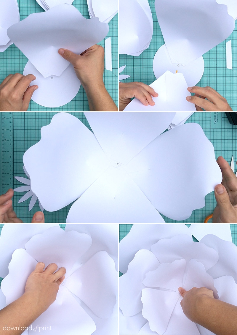 Free Printable Paper Rose Flower Templates