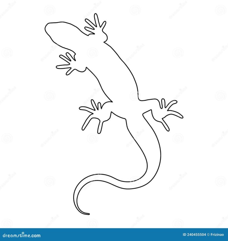 Lizard Reptile Outline Silhouette Design Element Vector Illustration Isolated On White Background Stock Vector Illustration Of Template Drawing 240455504