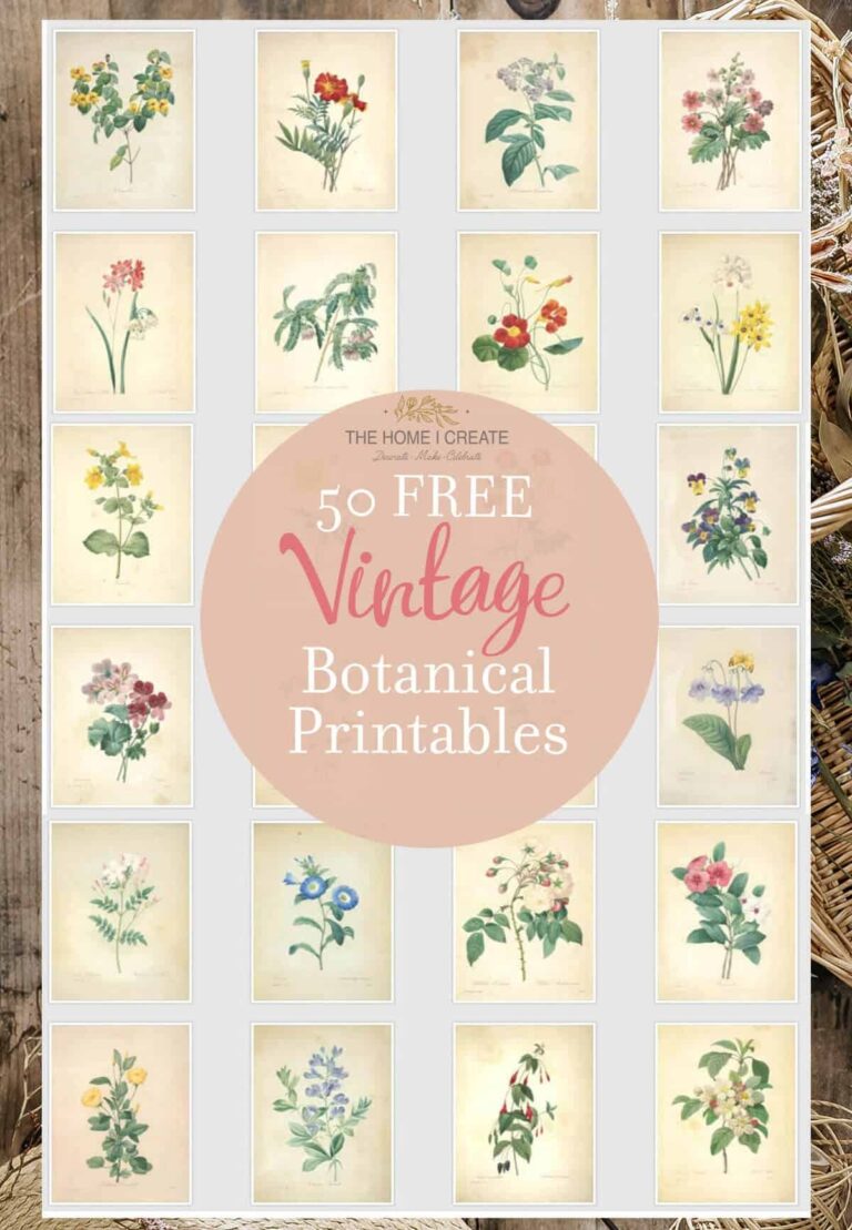 50 Beautiful Free Vintage Botanical Prints Free Printable
