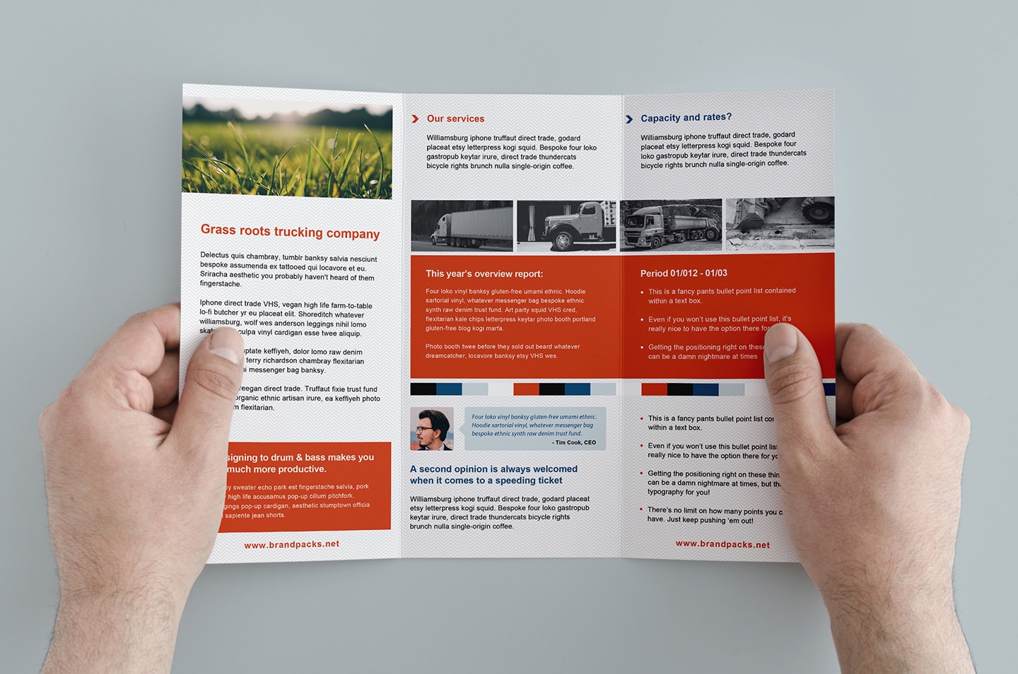 63 Free Editable Professional Brochure And Pamphlet Templates