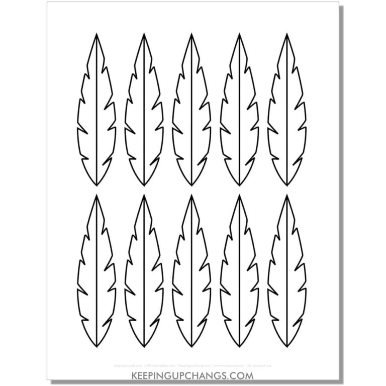 Best Free Printable Feather Outlines Templates Stencils Top