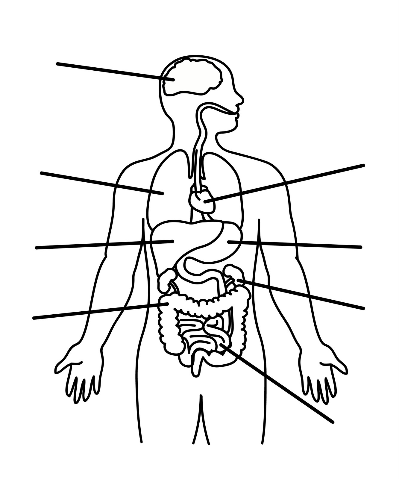 Body Outline Template Printable Printable Story Prompts