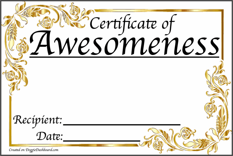 Certificate Of Awesomeness