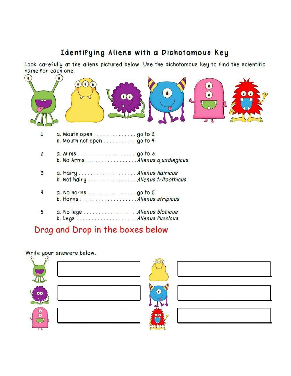 Dichotomous Key Practive Worksheet Live Worksheets Worksheets 