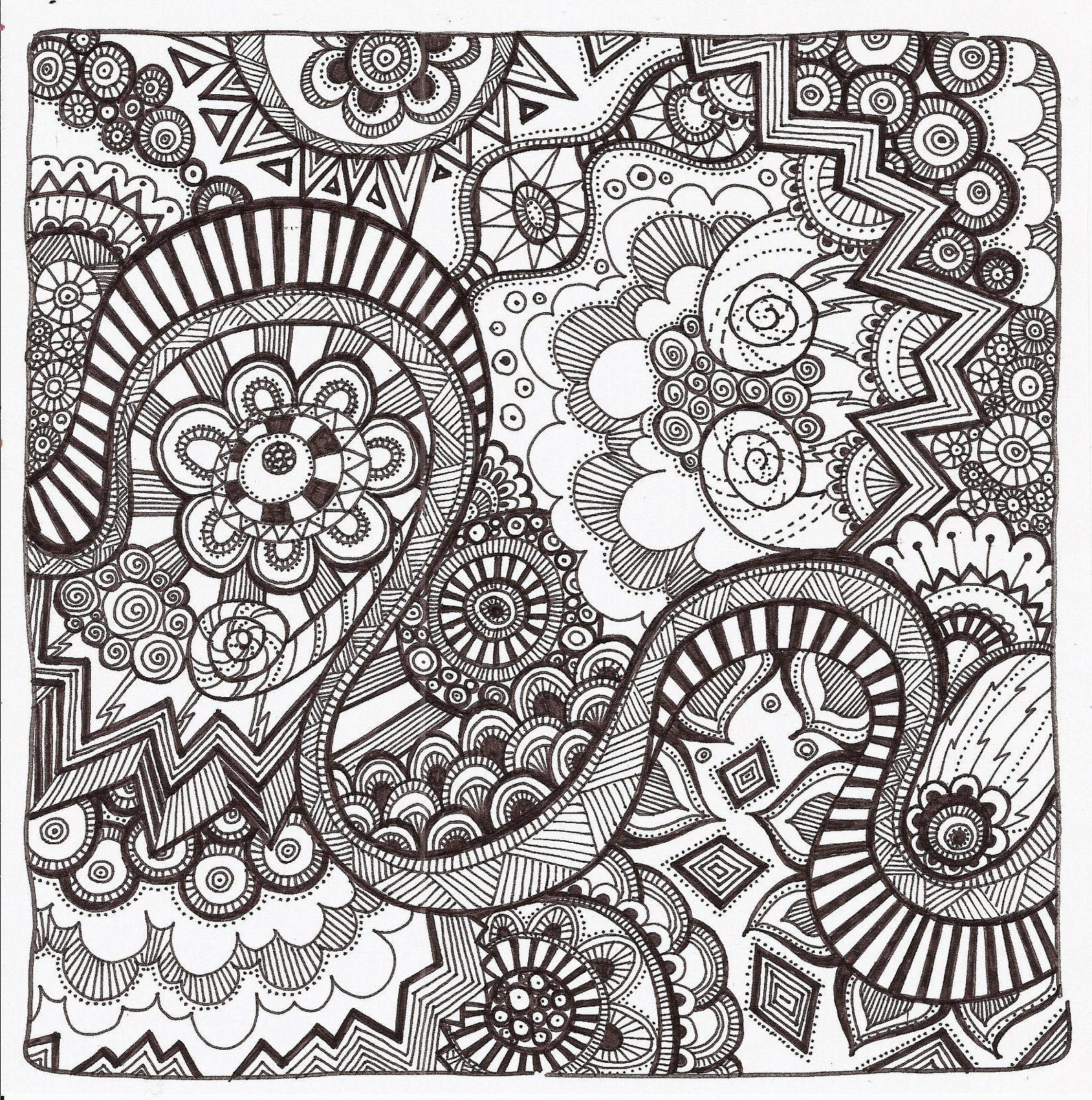 Doodle Art Island Senior Resources