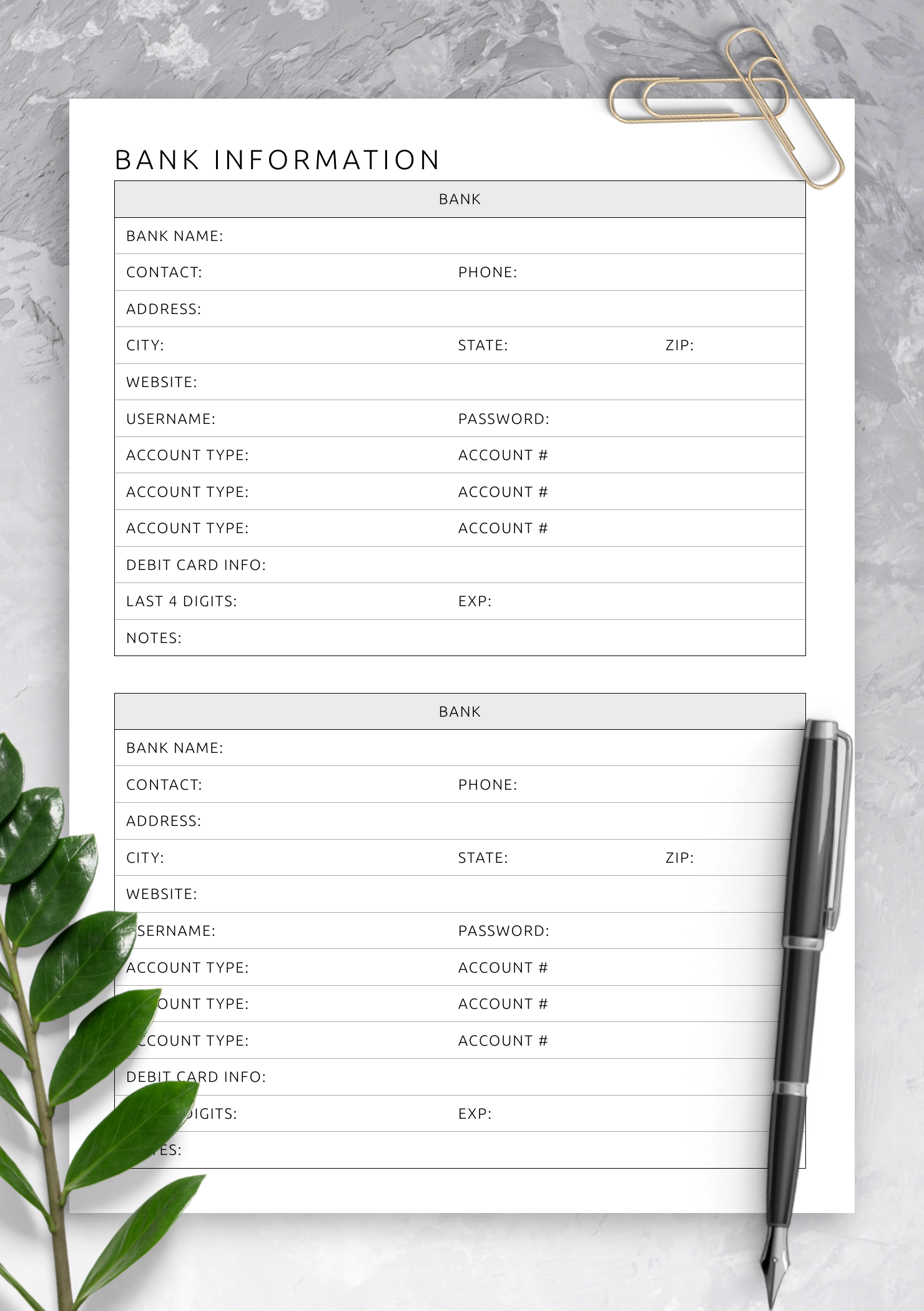 Free Printable Account Information Templates