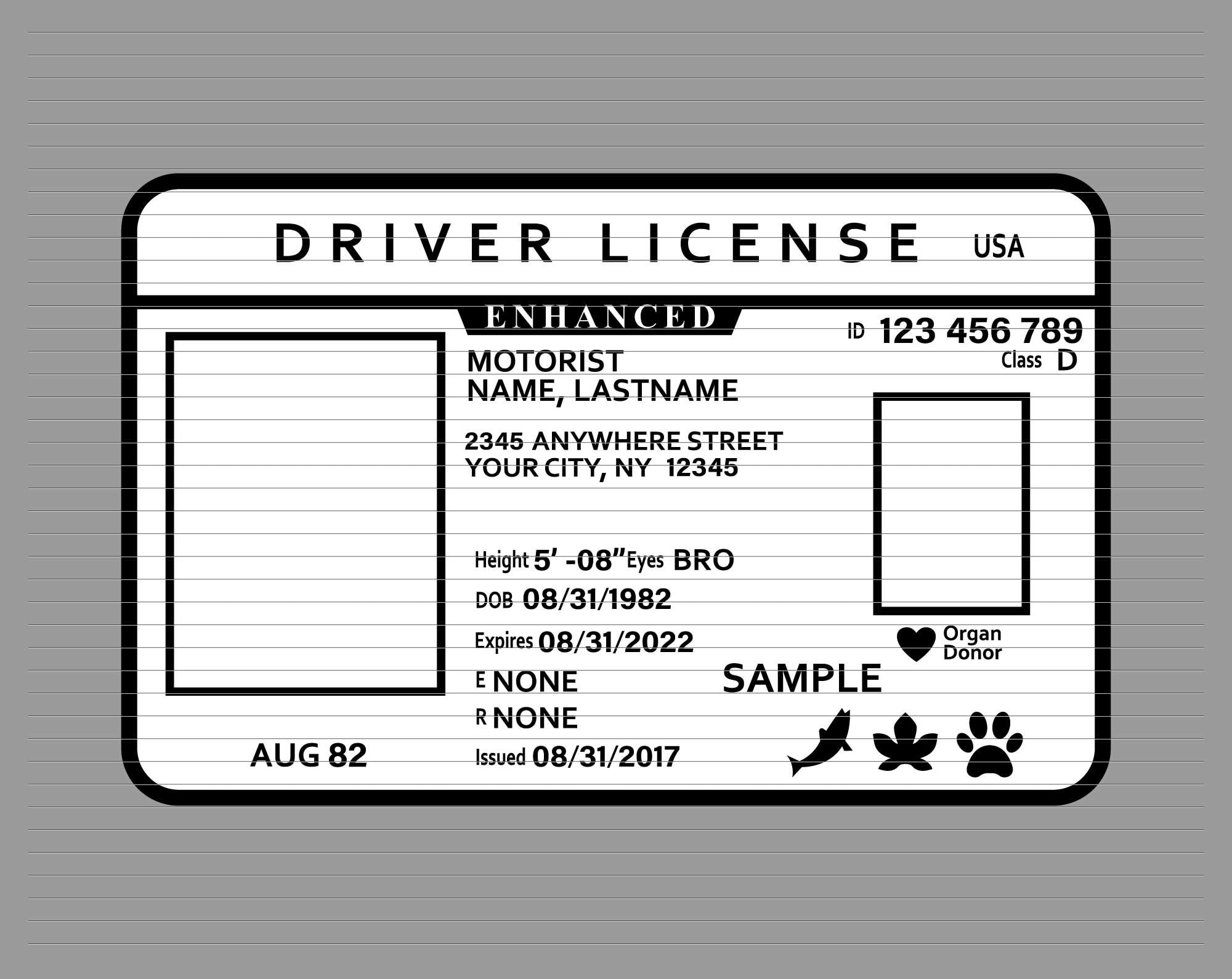 Driver Licence Svg Driver License Id Svg Id Card Identification Svg Identification Card Drive License Drive Svg Driving Clipart D926