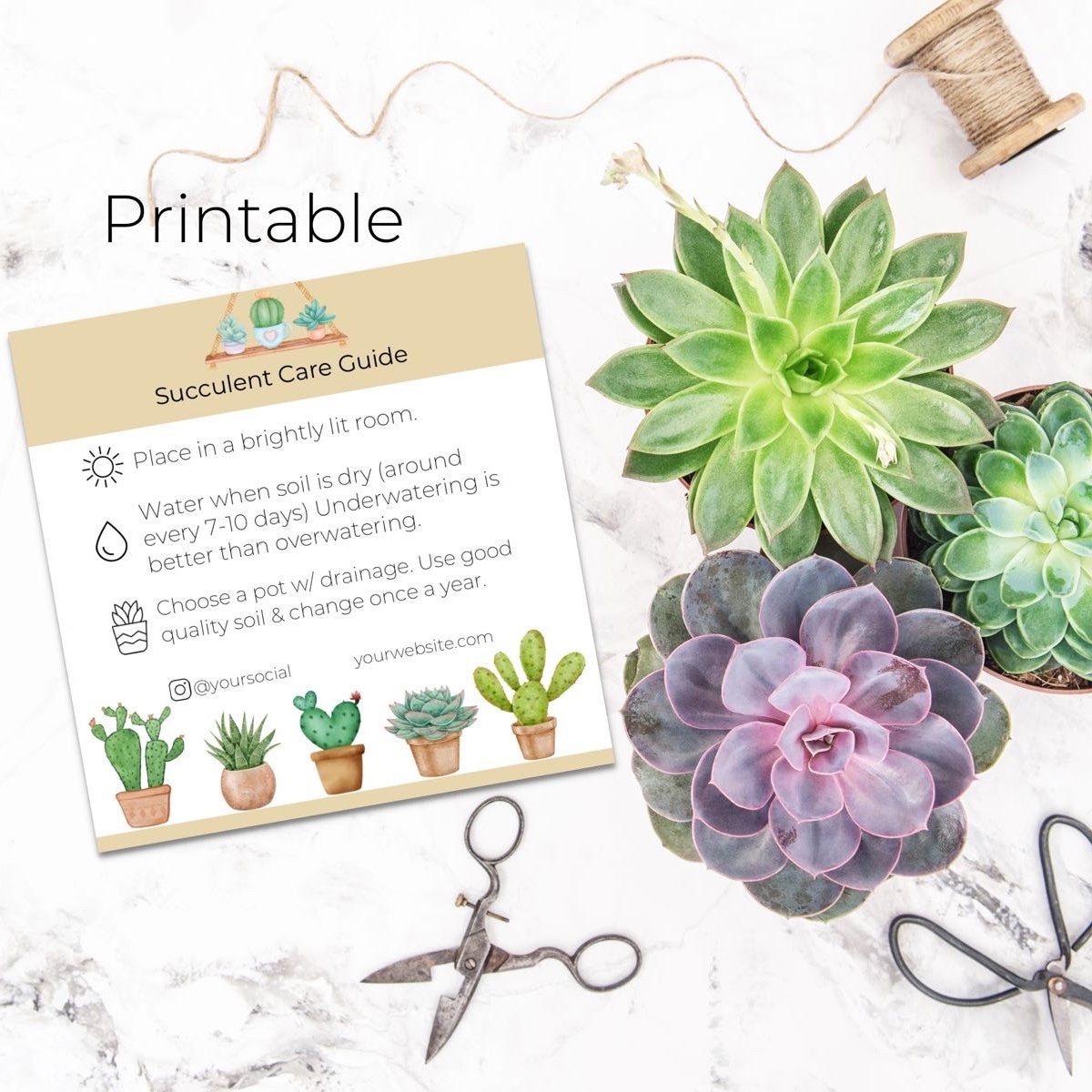 Free Printable Succulent Template