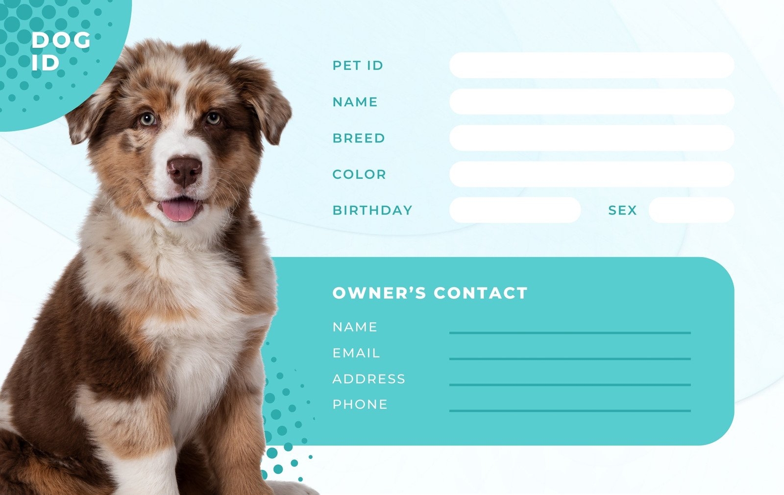 Free Custom Printable Dog ID Card Templates Canva