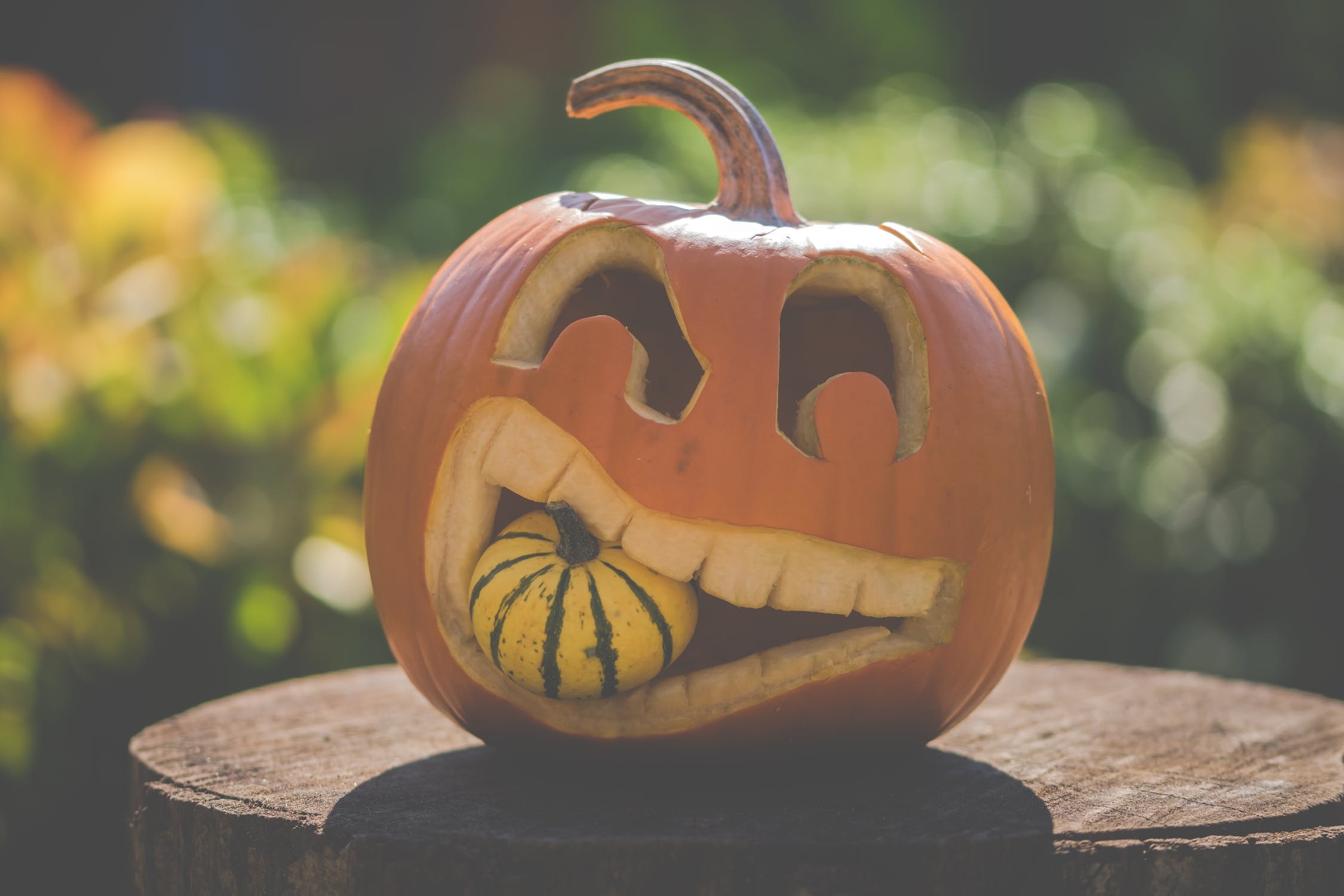 Pumpkin Carving Template Printable Free