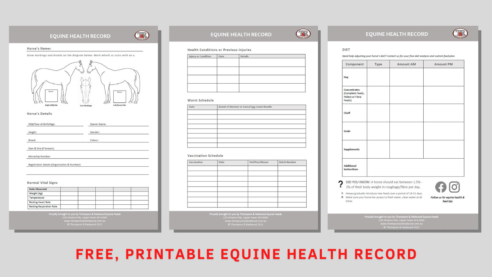 Free Printable Record Keeper Templates