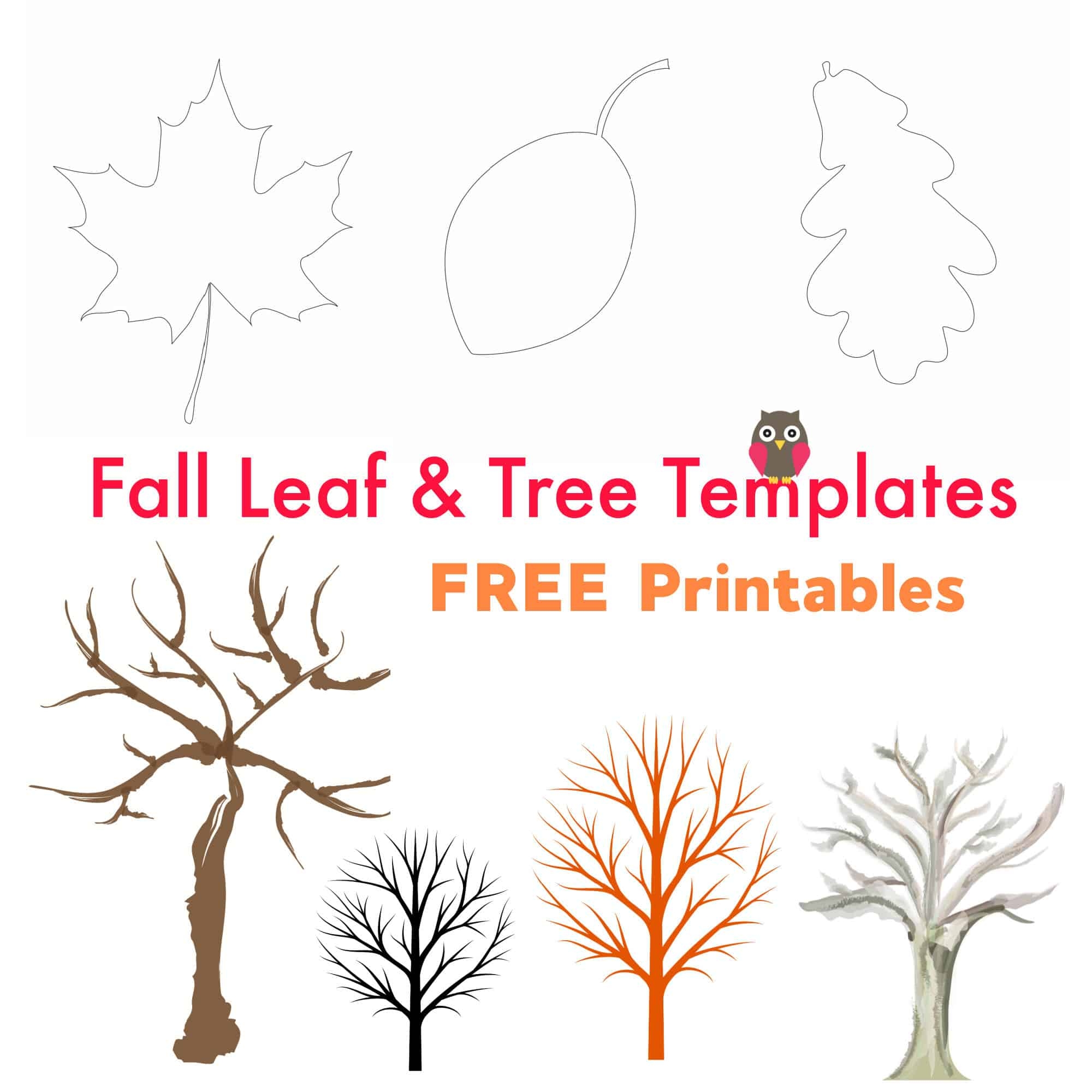 Free Printable Tree Templates For Crafting