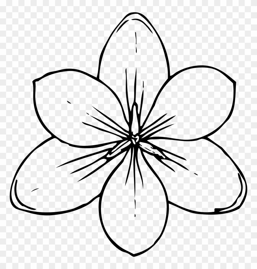 Free Printable Flower Template