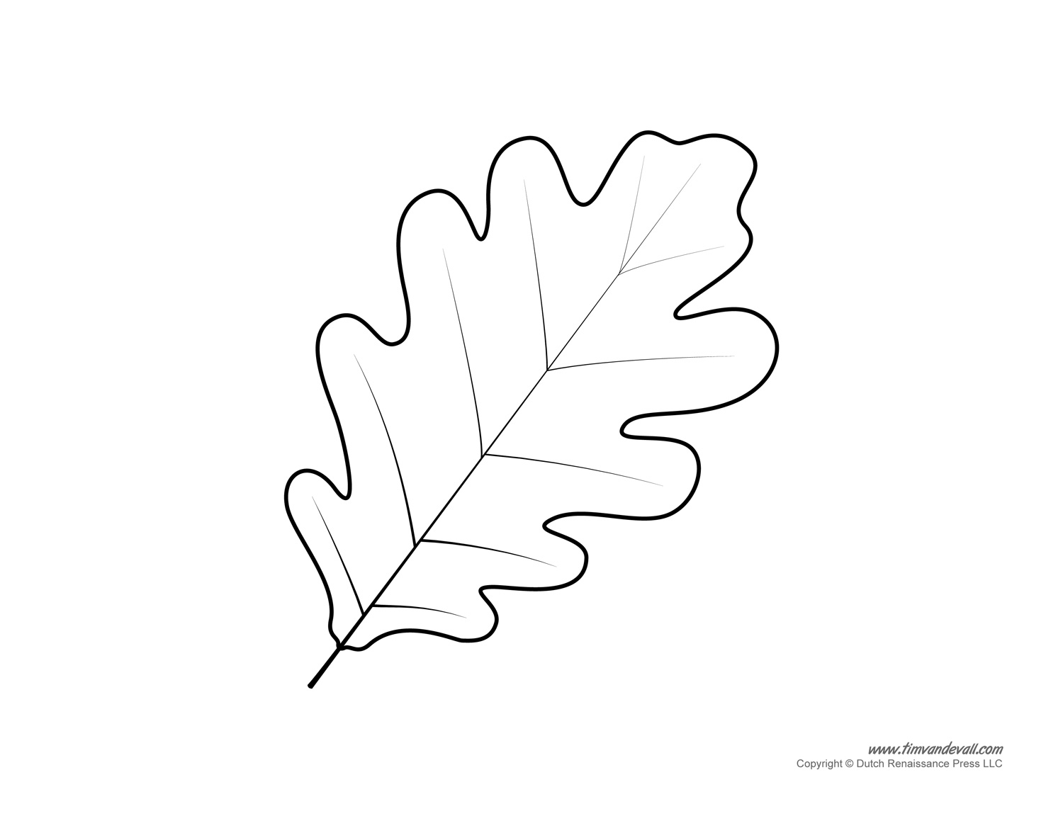 Free Printable Leaf Templates