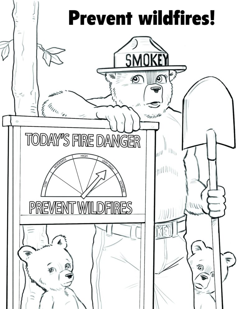 Library Toolkit Smokey Bear Reading Challenge