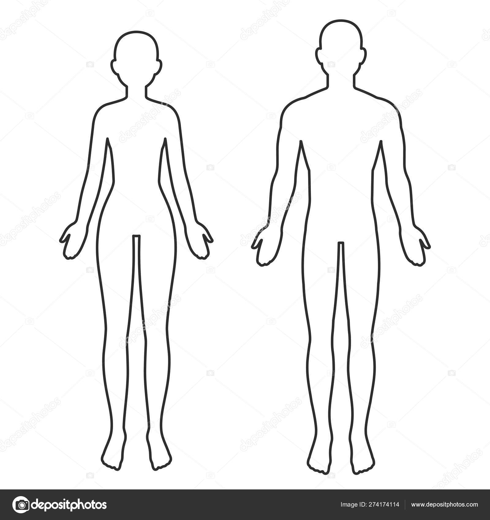 Male And Female Body Outline Stock Vector By Sudowoodo 274174114