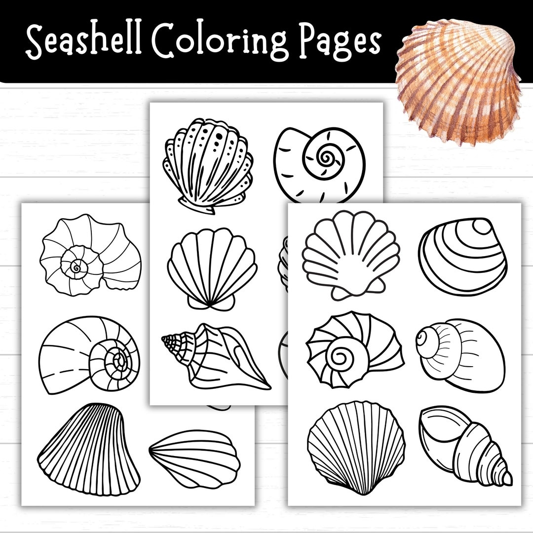 Seashell Coloring Pages Printable Seashell Templates To Color And Cut Ocean Theme Bulletin Board Decor Beach Craft For Kids Etsy Australia