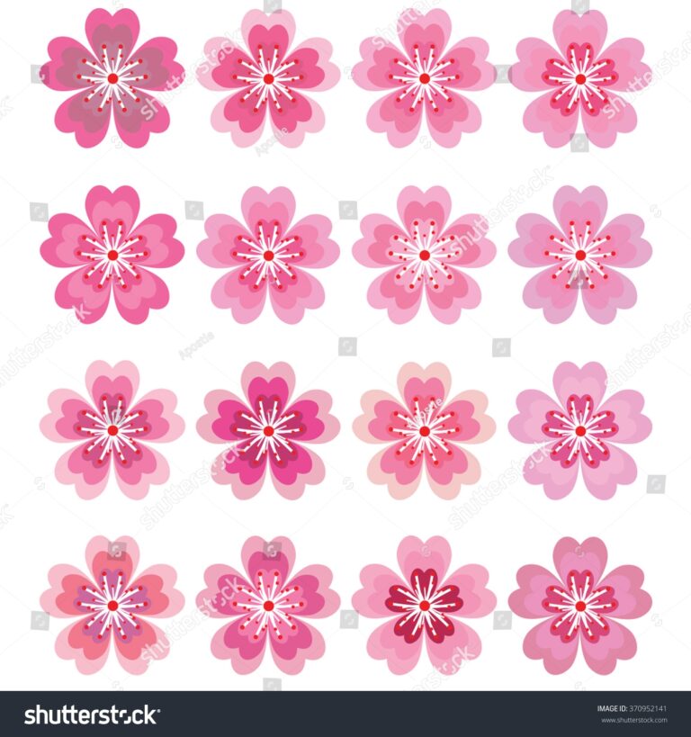 Set Cherry Blossom Flower Borders Vector Stock Vector Royalty Free 370952141 Shutterstock