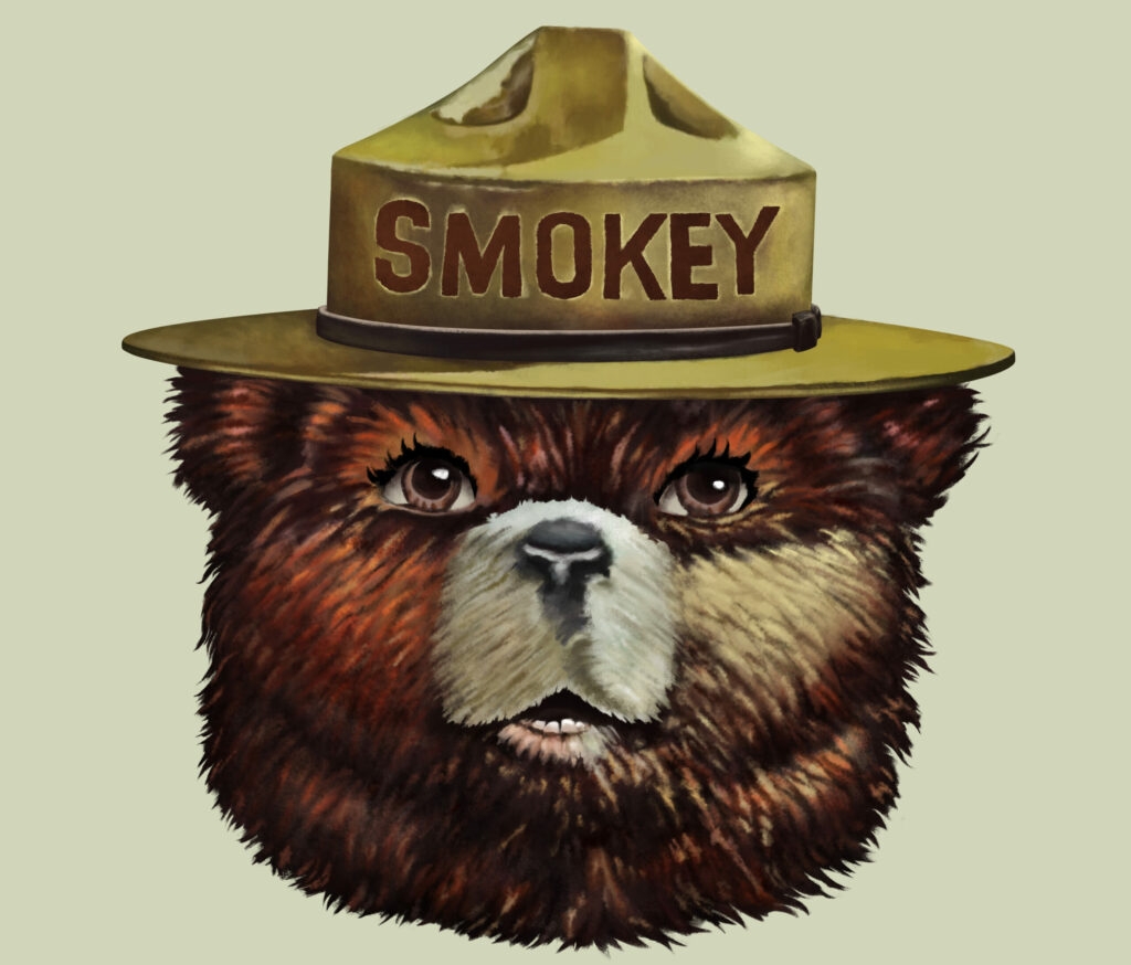 Free Smokey The Bear Printables