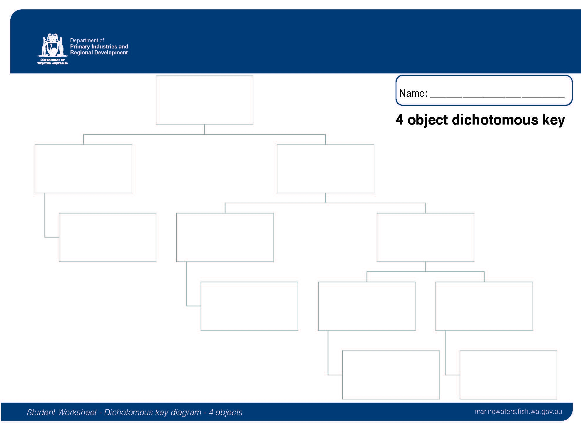 Student Worksheet Dichotomous Key Diagram 4 Objects 