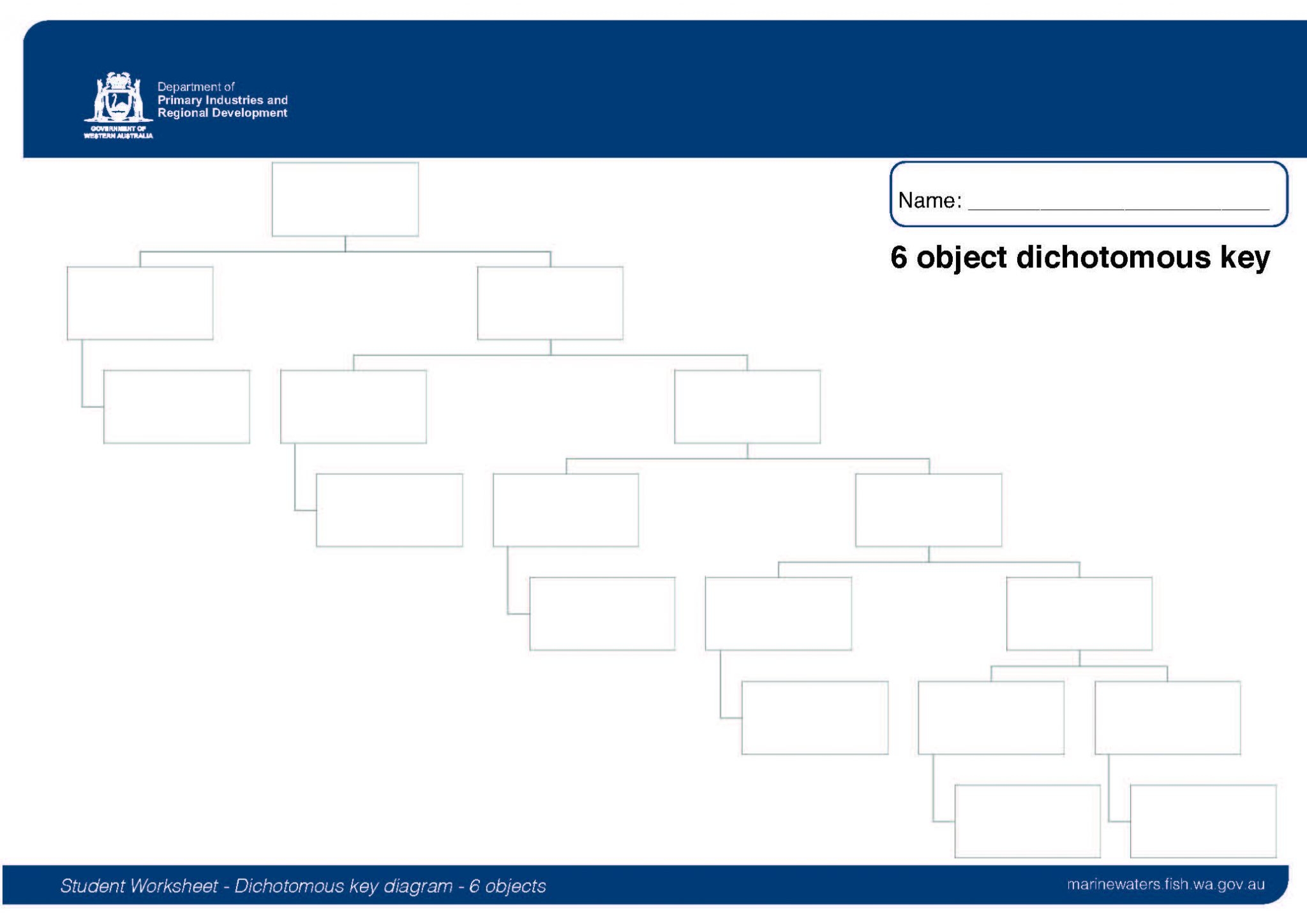 Student Worksheet Dichotomous Key Diagram 6 Objects 